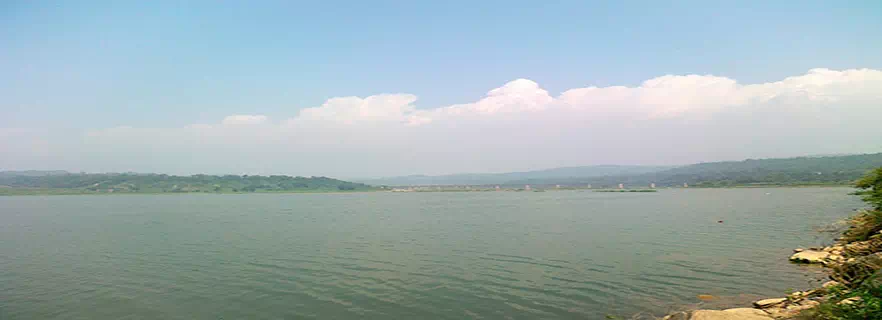 pong-dam-in-palampur.webp