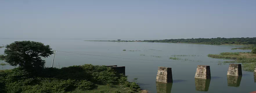 pong-lake-asylum-in-palampur.webp