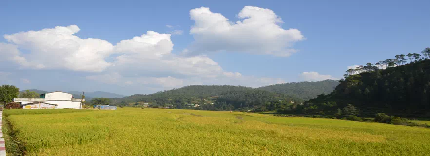 ranikhet_Tourism.webp