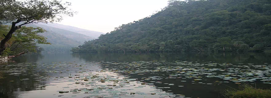 renuka-lake-parwanoo.webp