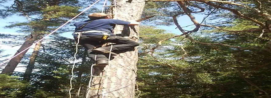 rope-ladder-rudraprayag.webp