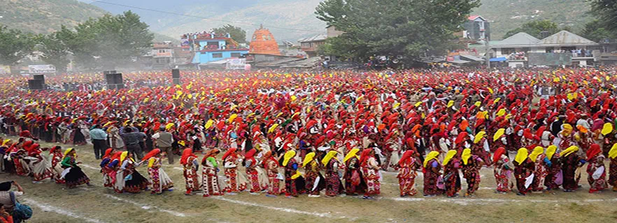 shimla-culture.webp