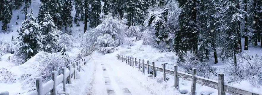 snowfall-warning-issued-in-uttarakhand-himachal-and-other-news.webp