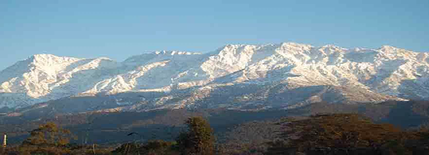 st-johns-congregation-in-palampur.webp