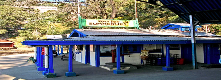 summer-hill.webp