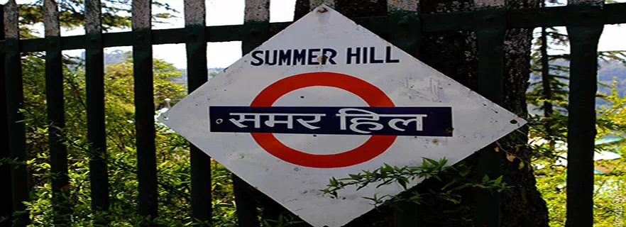 summer_hill.webp