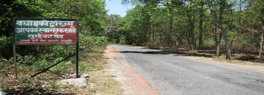 surai-forest-range.webp