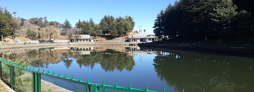 tanni-jubbar-lake-in-shimla.webp