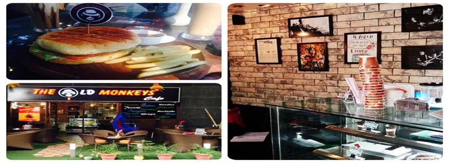 the-old-monkey-cafe.webp