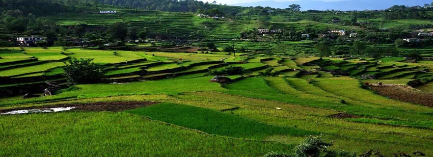 things-to-do-in-Kausani.webp
