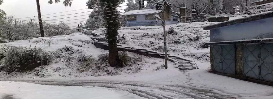 tourist-flock-to-binsar-as-snow-blankets-town-and-other-news.webp