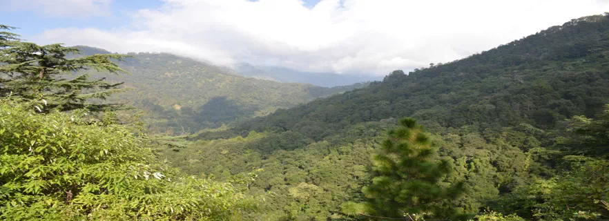 tourist-places-near-dhanachuli.webp