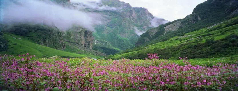 tourist_places_near_valley_of_flowers.webp