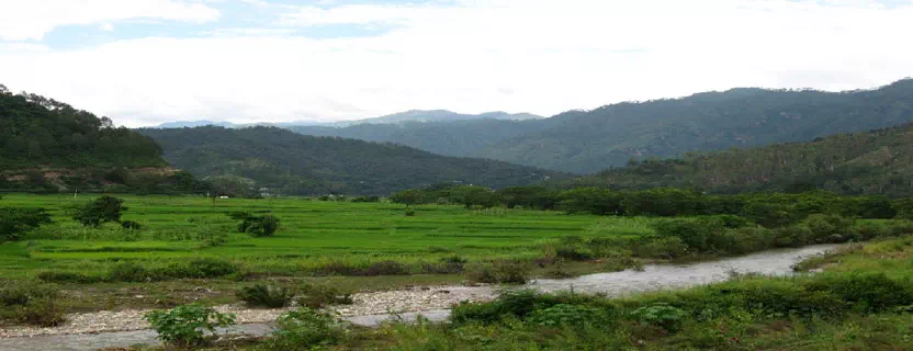 travel_Companies_dwarahat.webp