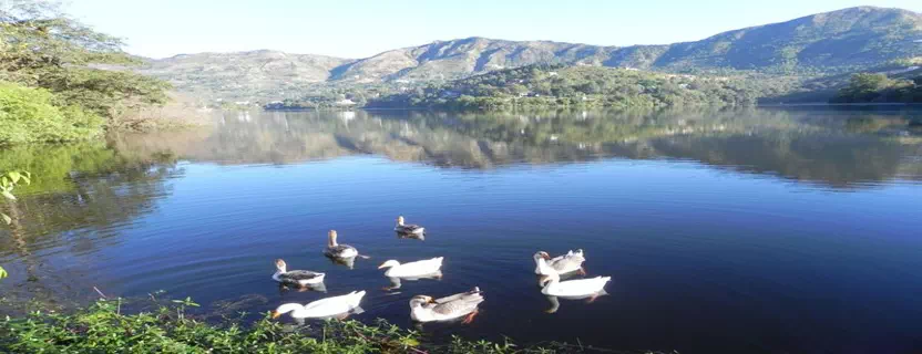 travel_companies_naukuchiatal.webp