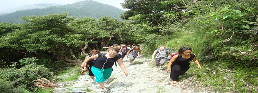 trekking-in-palampur.webp