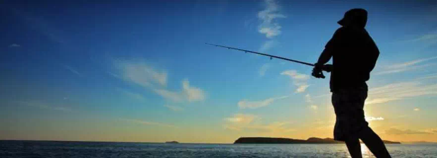 uttarakhand-first-to-ban-angling-cites-cruelty-to-fish.webp