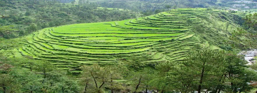 uttarakhand-ropes-in-bloggers-to-promote-tourism-spots.webp