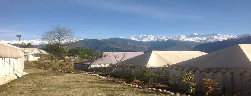 vede_camp.webp