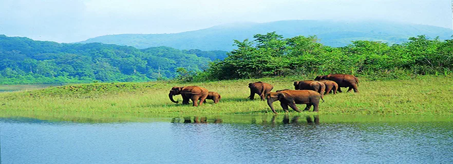 wild-life-sanctuaries-mcleodganj.webp