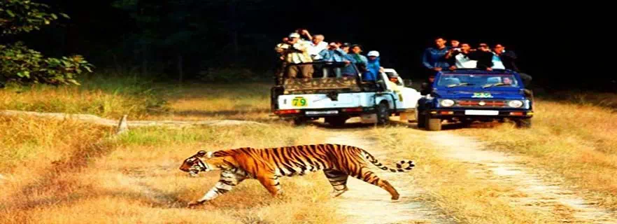 wildlife-sighting-naukuchiatal.webp