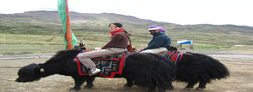 yak-safari-kaza.webp