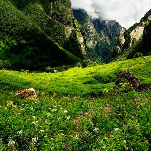 valley-of-flower-with-badrinath