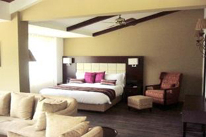 Hotel Rock Manali