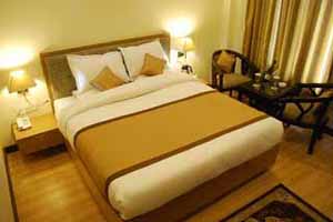 The Manali Inn