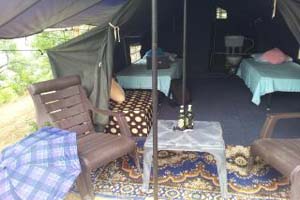 Camp Club Tarzan