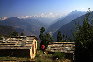 Wildrift Camp Shaama