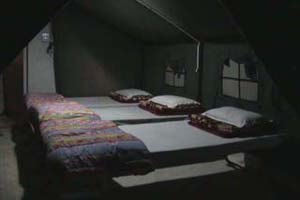  Camp Pine Riviera Padampuri
