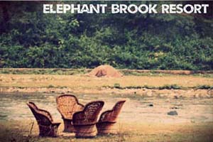 Elephant Brook Resort