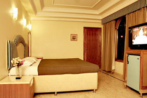 BHARAT RESORTS