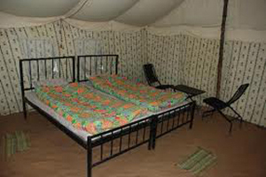 Camp Carnival 