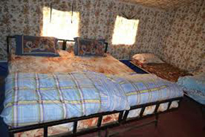 Camp o Royale