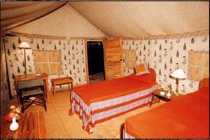 Char Dham Camp