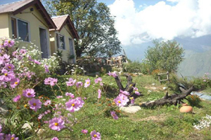 XRA Cottage