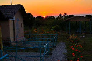 Camp Milieu-A Birding Paradise