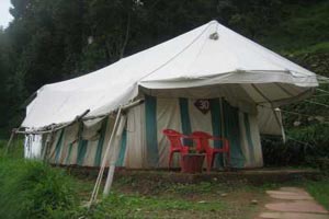 Camp Carnival 