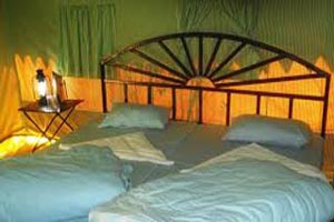 Camp Little Jaguar 