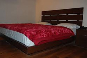 Hotel Shyam