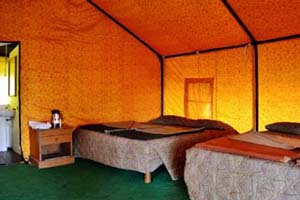 The Bijrani Jungle Camp 