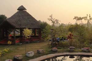 The Camp Hornbill 