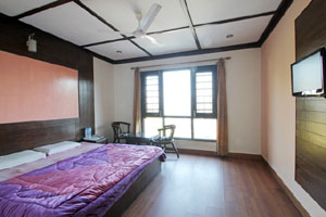  Ambica Palace Hotel 
