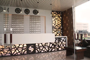 The OYO Rooms hotel 