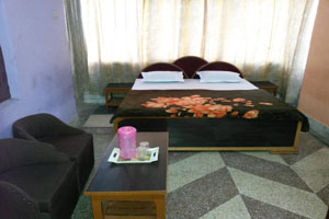 The Vishwanath Hotel