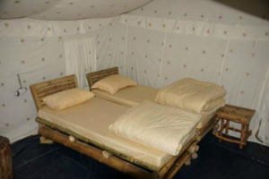  Cradle of Life Camp 