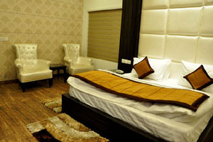 Riya Palace hotel 