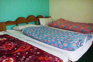  Hotel Surya  